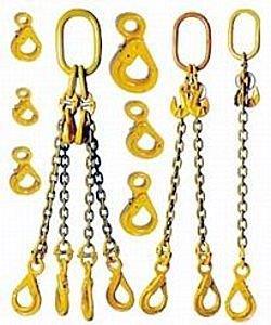 hoist and lifting chain