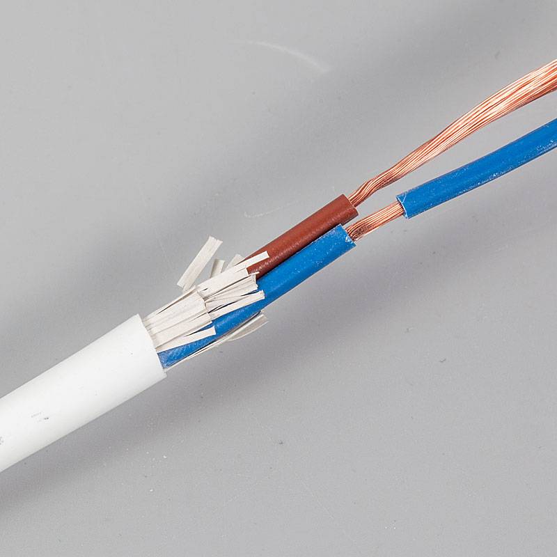 人民线缆 国标足米保检测RVV2芯4软护套线2*4平方电源线纯铜线