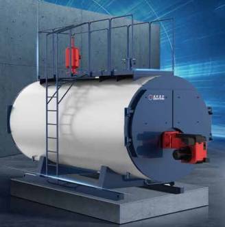 WNS Caldeira a vapor