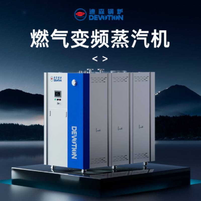 Газовый инверторный отпариватель (парогенератор) серии DSZQ