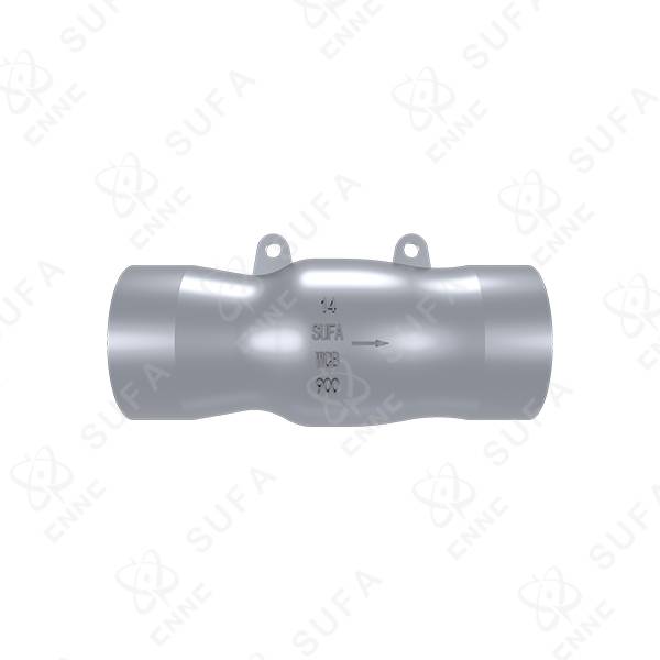 加氢轴流式止回阀