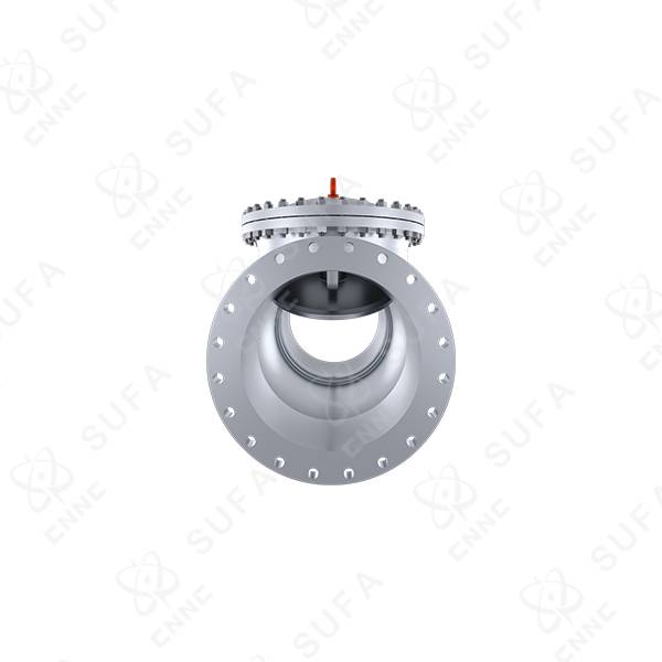 Válvula de retenção rotativa