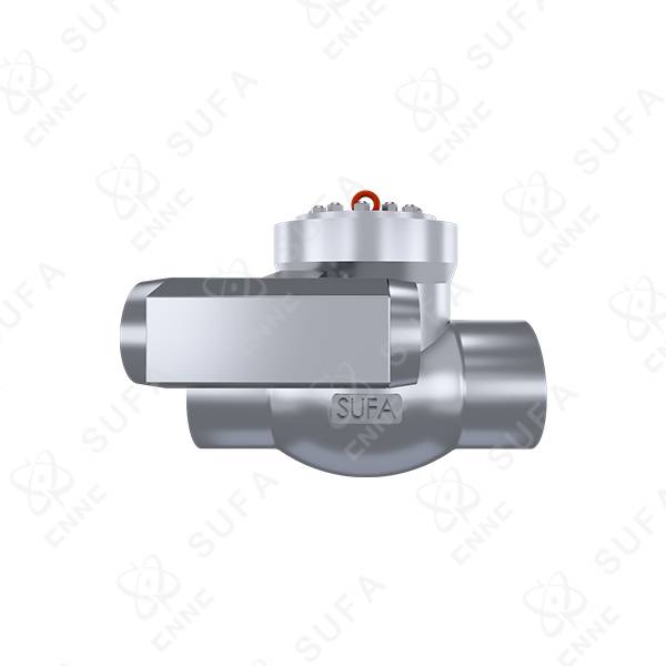 电站及常规岛抽汽止回阀