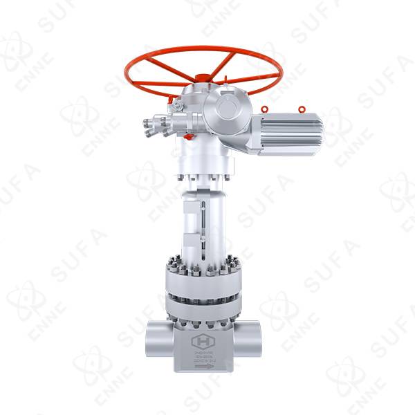 核级楔块式平行双闸板闸阀