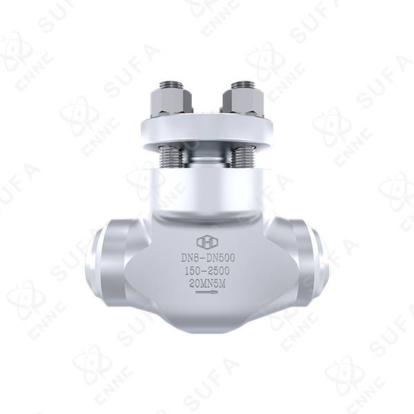 核级升降式止回阀