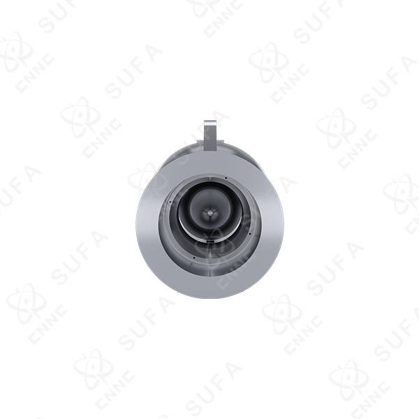 LNG超低温轴流式止回阀