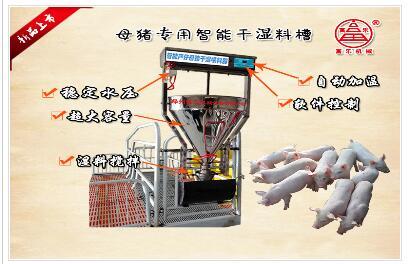 产床母猪智能干湿粥料喂料槽
