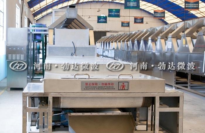 黄粉虫类微波干燥设备