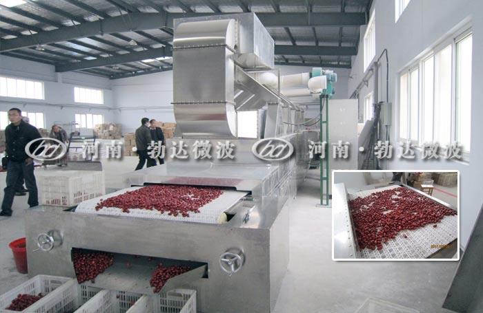 红枣杀菌微波干燥设备