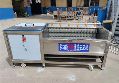多功能毛辊清洗机