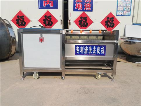 U型毛辊清洗机