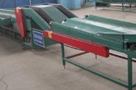 CX-9果蔬大小分选机