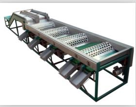 CX4000大蒜分选机