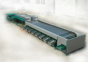 CX3000果蔬大小分选机