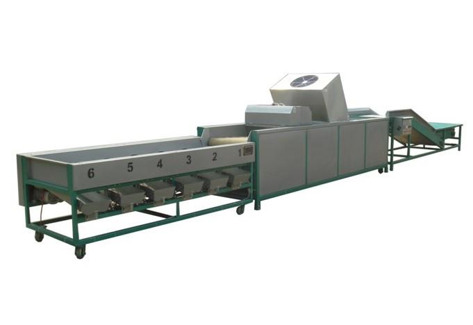 CX3000B果蔬大小分选机+清洗流水线