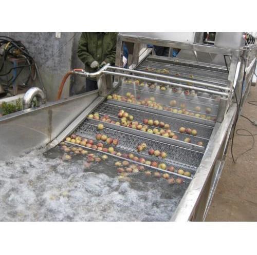 蔬菜水果清洗风干设备