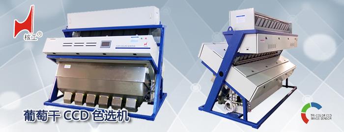 葡萄干色选机