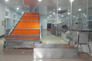 DWT系列脱水蔬菜干燥机