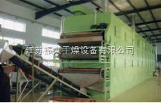 DWT苹果片专用烘干机