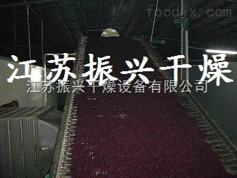 卷心菜专用干燥机，包菜专用烘干机