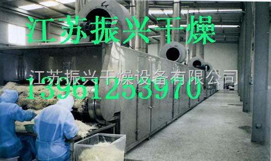 DWT系列脱水蔬菜带式干燥机