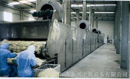 网带式脱水蔬菜专用干燥机