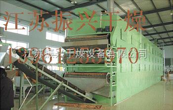 网带式脱水蔬菜干燥机