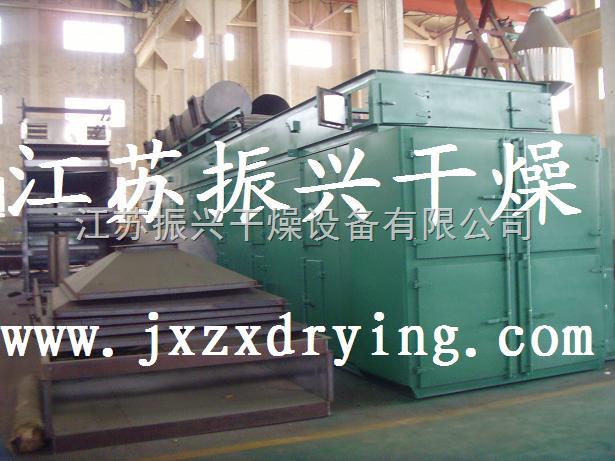 DWT芥菜专用网带式干燥机