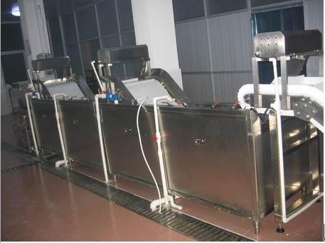 TW-306NS 连续式洗菜机流水线