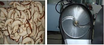 TW-805D 蘑菇切片机（定向）