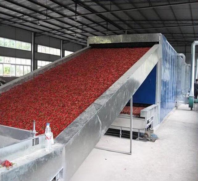 蔬菜网带烘干机