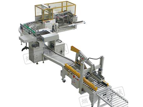 全自动开装封流水线