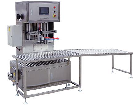 单头软包装食用油灌装机