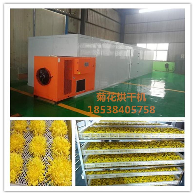 菊花烘干机