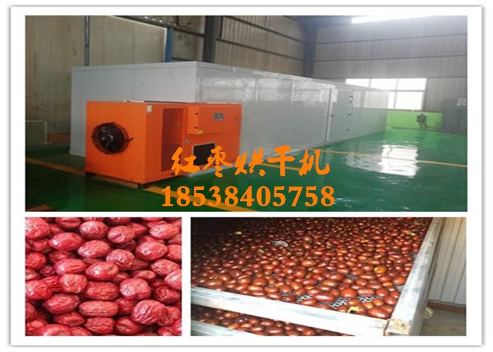 大枣烘干机