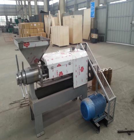 玉米胚芽榨油机