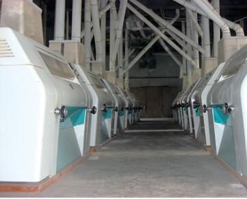 150吨小麦磨粉设备