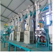 日产50吨小米加工设备