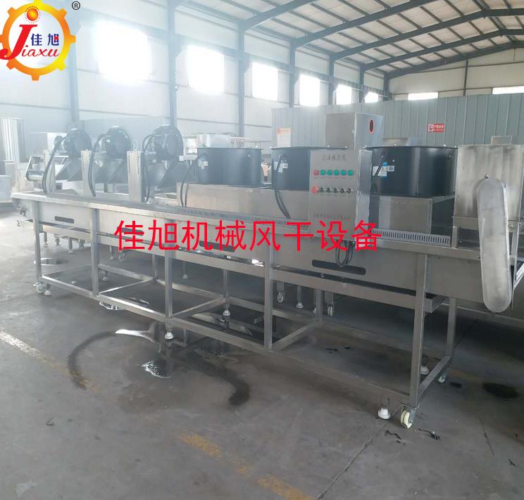 水果蔬菜风干流水线