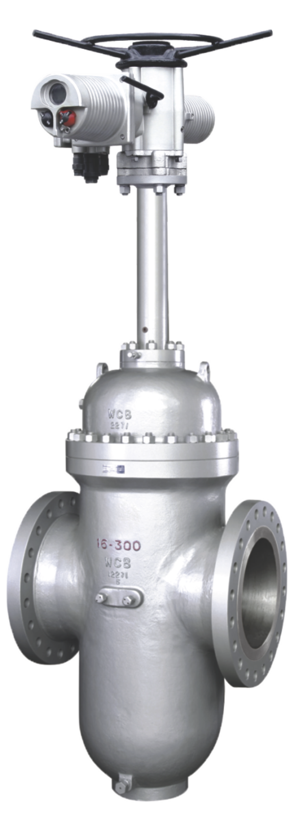 Z-003（电动带导流孔闸阀）