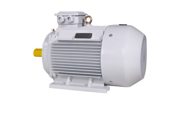 YE3(IE3)系列电动机