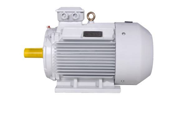 YE3(IE3)系列电动机