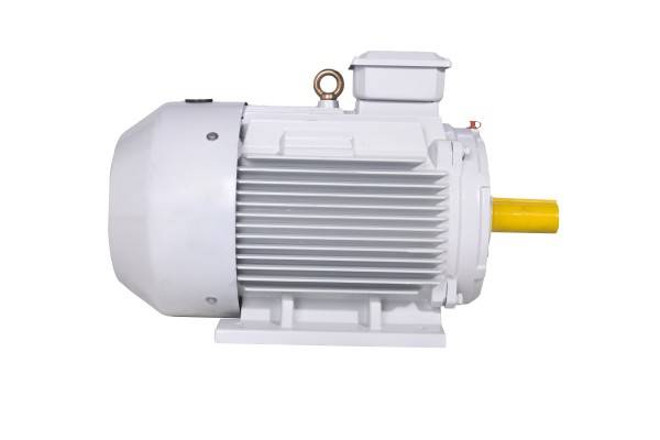 YE3(IE3)系列电动机
