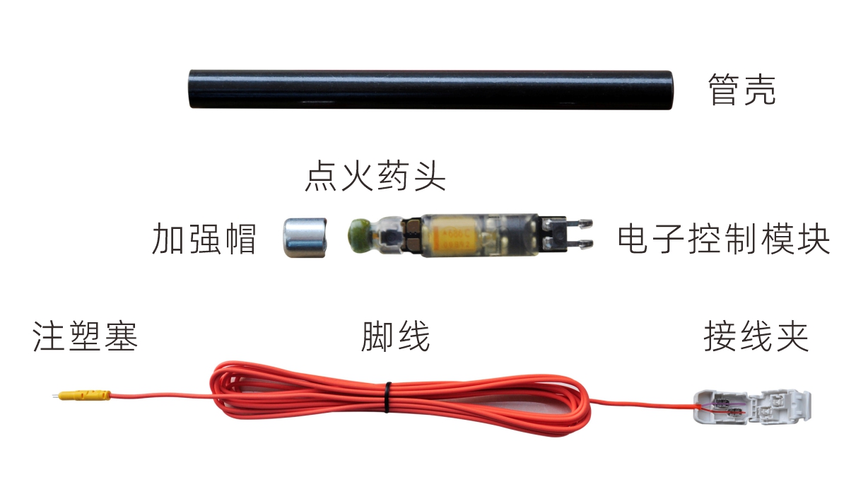 Störungsresistentes elektronisches Detonatorsystem