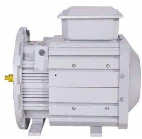GTYP-Serie Hochleistungs-Hochgeschwindigkeits-Permanentmagnet-Frequenzumrichter-Synchronmotoren