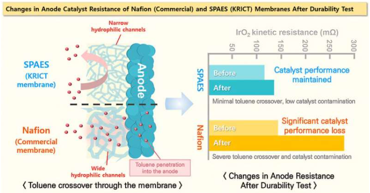 耐久性测试后，Nafion(商用)和SPAES(KRICT)膜阳极催化剂电阻的变化。图片来源：韩国化学技术研究院(KRICT)