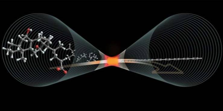 图像展示了特殊分子在微型碳管内加热时如何分解，形成由碳原子组成的完美直链，即碳炔