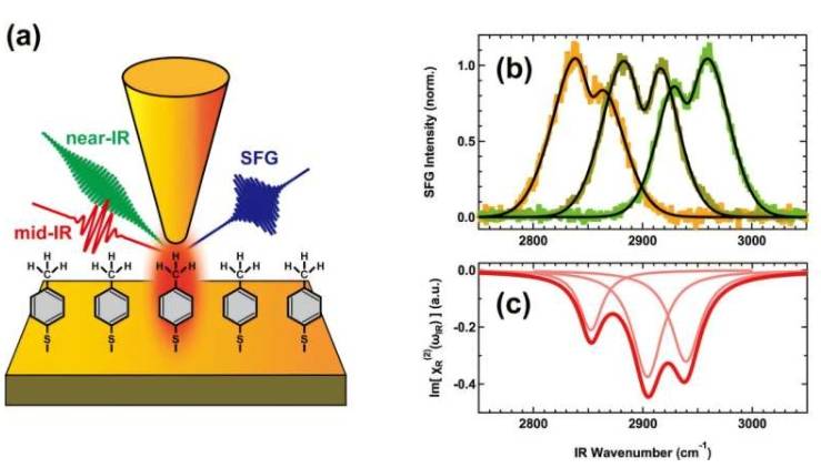(a)针尖增强VSFG光谱示意图。可调谐的中红外和近红外脉冲激光聚焦到STM针尖和样品基底之间的纳米连接处，从而能够检测到纳米间隙内极少量分子的VSFG信号。(b)观测到的VSFG光谱，拟合曲线以黑色显示。(c)提取的二阶磁化率( Im[&chi; R (2) (&omega; IR )] 振动谐振贡献的虚部。负值表示端基甲基的氢原子朝向远离基底的方向。