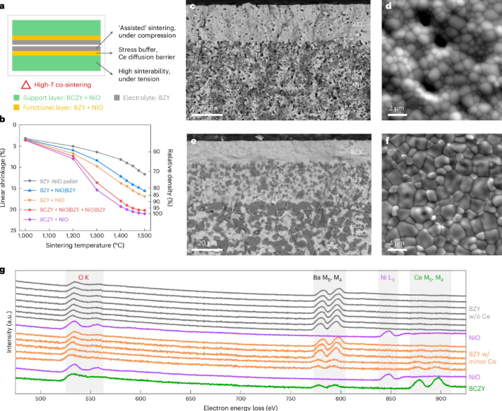 重新设计的半电池解决了BZY膜烧结难题。图片来源:《自然·合成》(2025)。