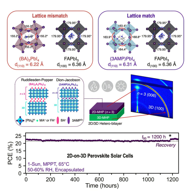 图片来源:焦耳(2025)